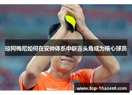 琼阿梅尼如何在安帅体系中崭露头角成为核心球员